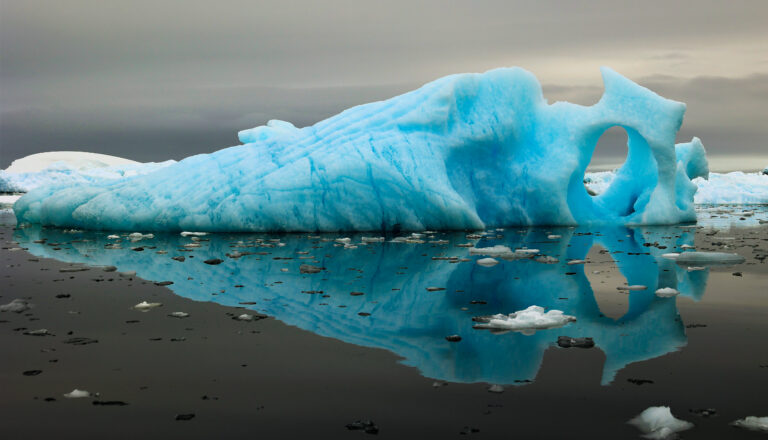 Iceberg Blue 2