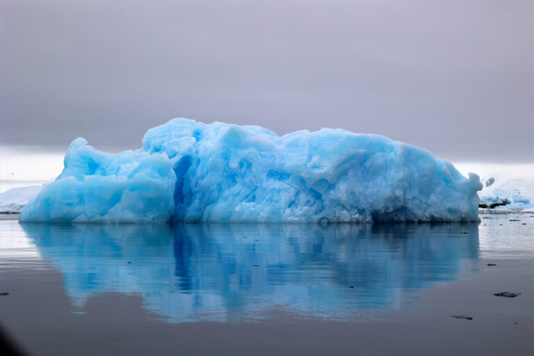 Iceberg Blue_edited